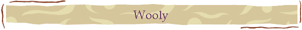 Wooly